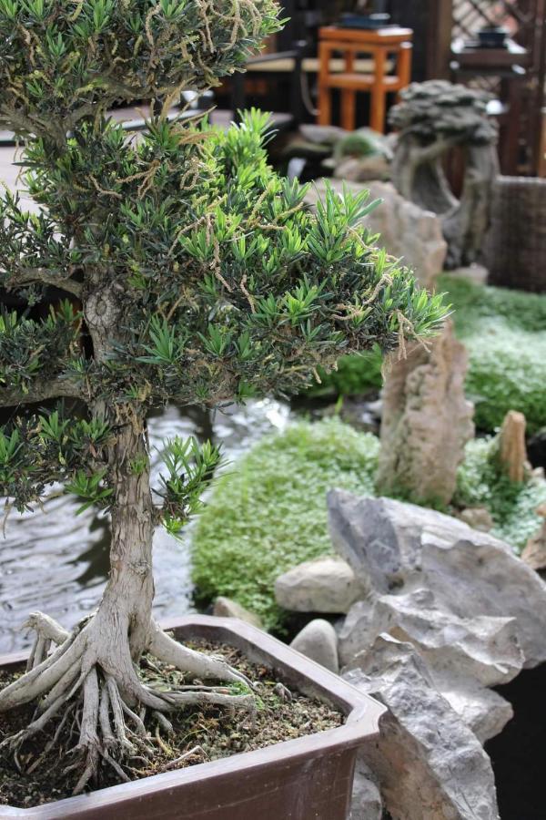 Appartement Zen Museu do Bonsai à Sintra Extérieur photo