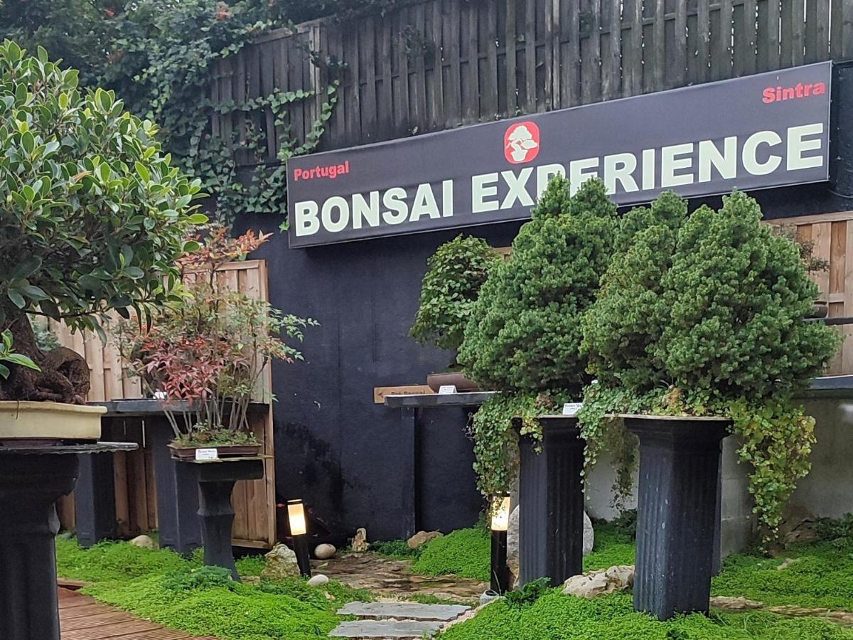 Appartement Zen Museu do Bonsai à Sintra Extérieur photo
